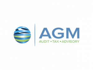 agm-audit-color