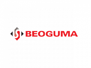 beoguma-color