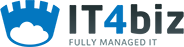 It4Biz Logo